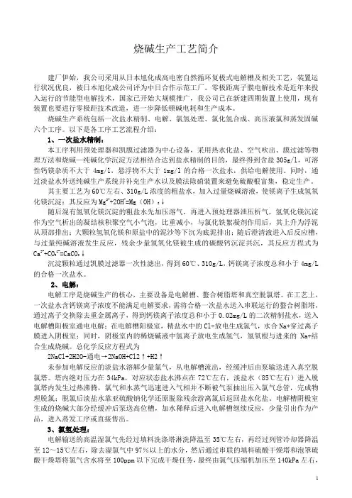 烧碱工艺简介