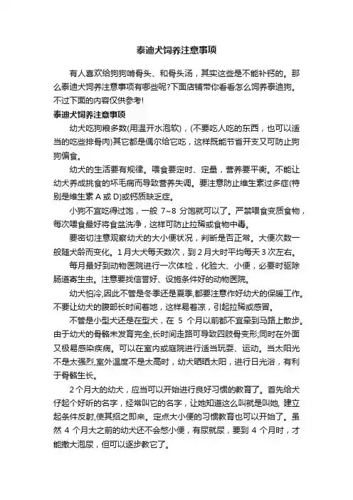 泰迪犬饲养注意事项