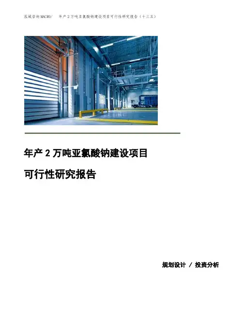 年产2万吨亚氯酸钠建设项目可行性研究报告(十三五)