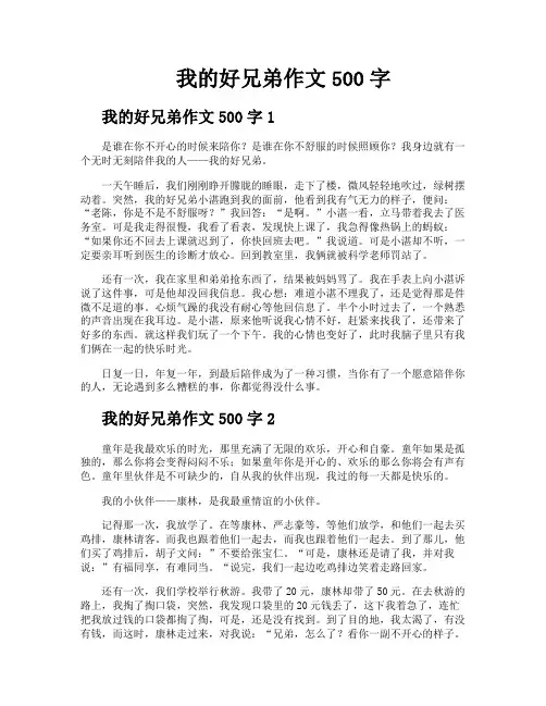 我的好兄弟作文500字