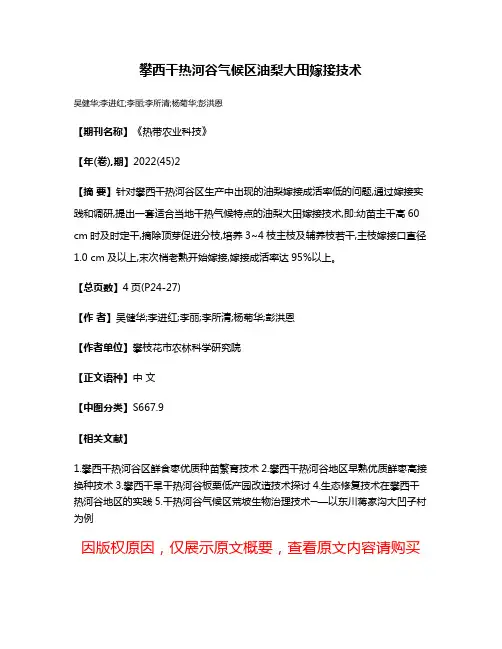 攀西干热河谷气候区油梨大田嫁接技术
