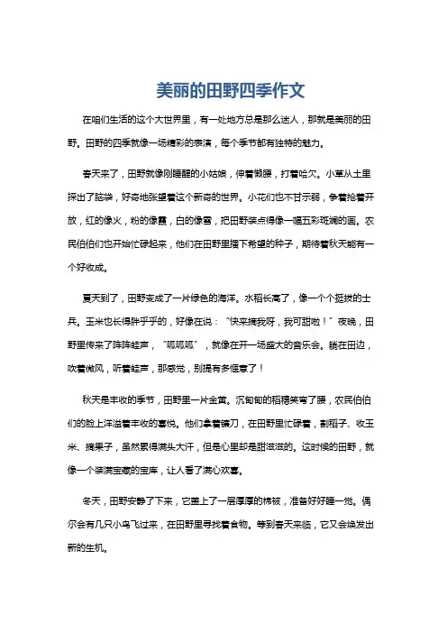 美丽的田野四季作文