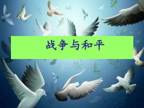 《战争与和平》参考ppt课件