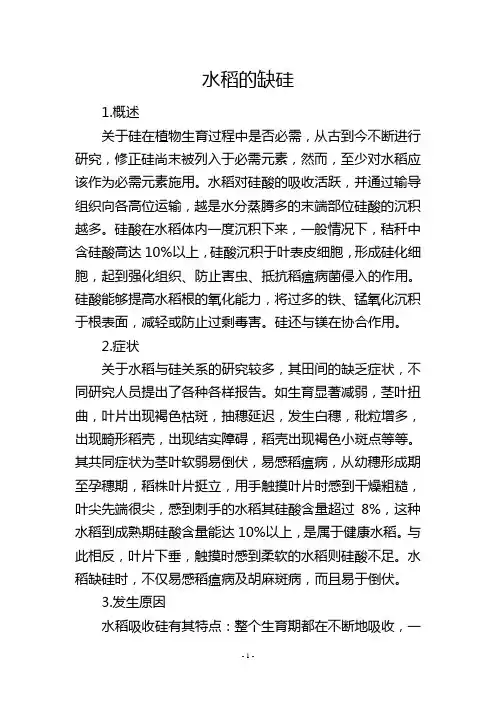 水稻的缺硅
