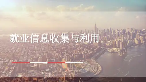 就业信息收集与利用ppt课件