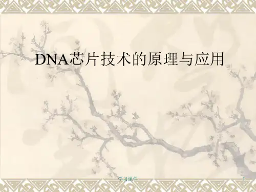 DNA芯片技术的原理与应用(技术课件)