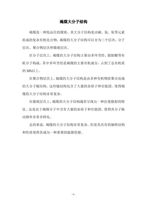 褐煤大分子结构