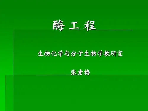 酶工程绪论