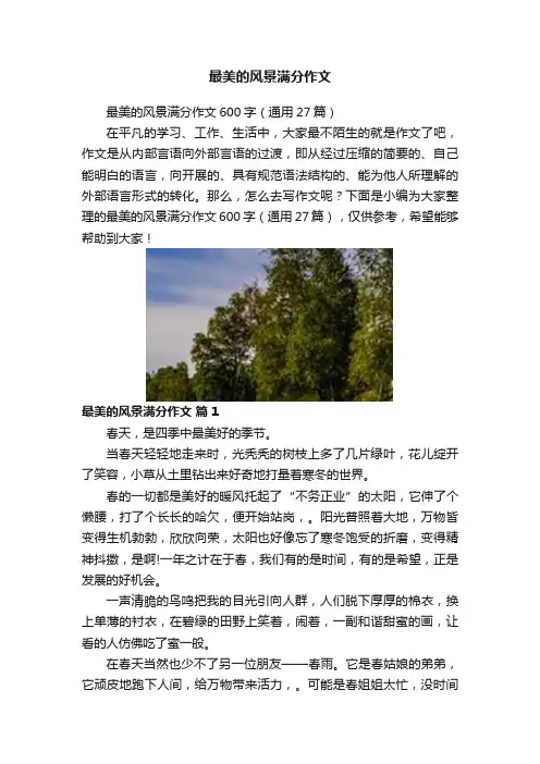 最美的风景满分作文