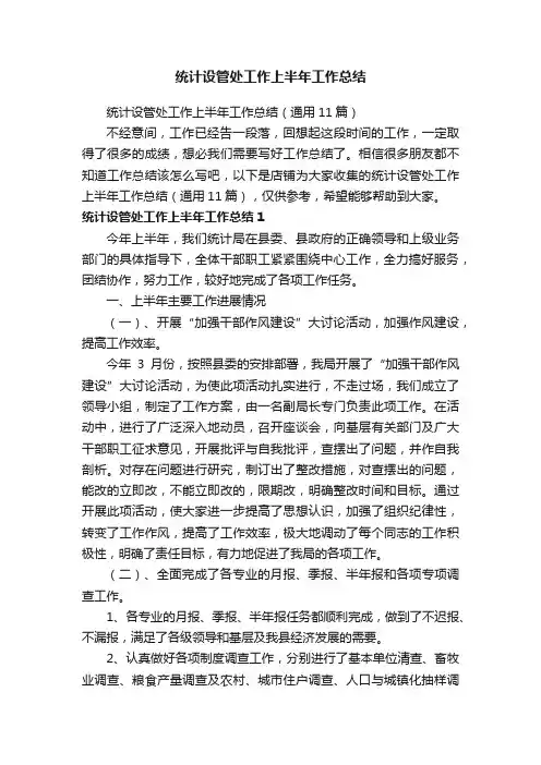 统计设管处工作上半年工作总结