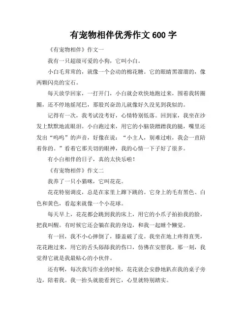 有宠物相伴优秀作文600字