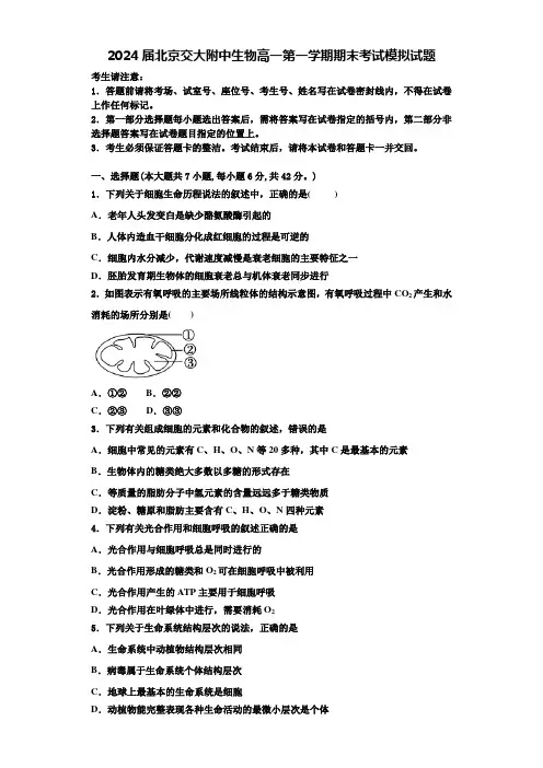 2024届北京交大附中生物高一第一学期期末考试模拟试题含解析