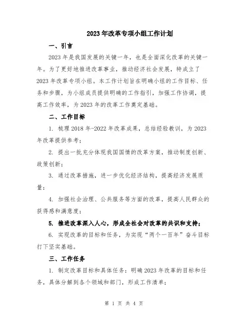 2023年改革专项小组工作计划