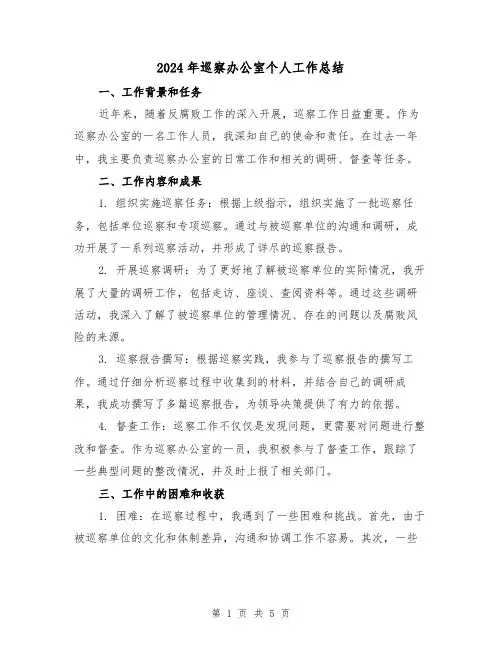 2024年巡察办公室个人工作总结（二篇）