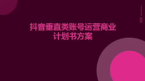 抖音垂直类账号运营商业计划书方案