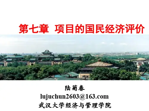2014工程经济学第七章国民经济评价