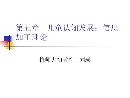 第五章 信息加工理论