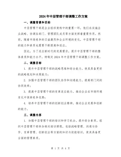 2024年中层管理干部调整工作方案