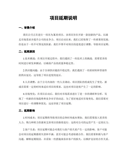 项目延期说明