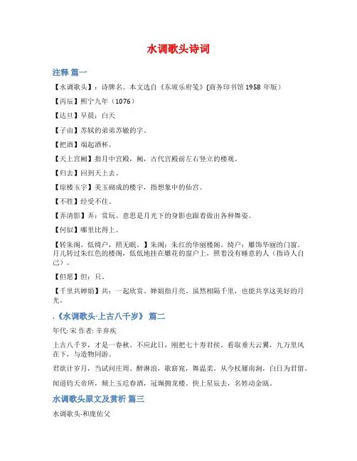 水调歌头诗词范文