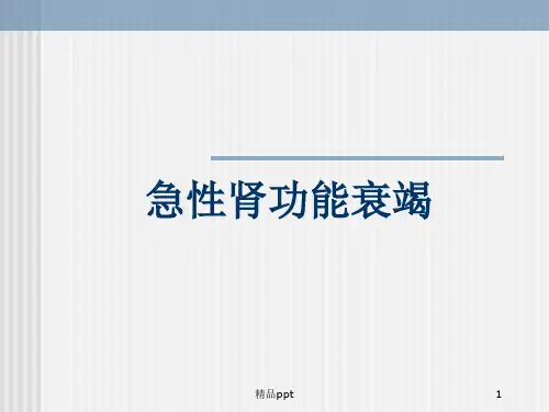 急性肾功能衰竭PPT课件