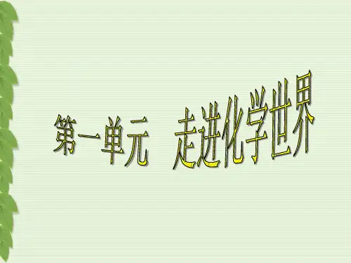 人教版九年级化学1.1物质的变化和性质(共49张PPT)