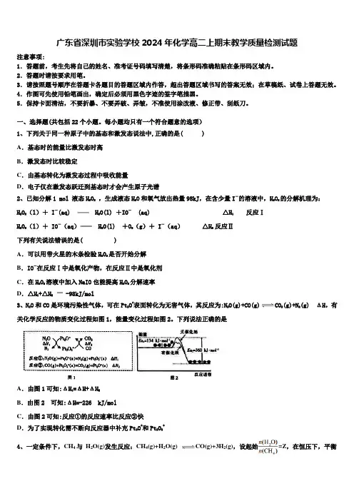 广东省深圳市实验学校2024年化学高二上期末教学质量检测试题含解析