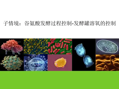 谷氨酸发酵过程控制—发酵罐溶氧的控制