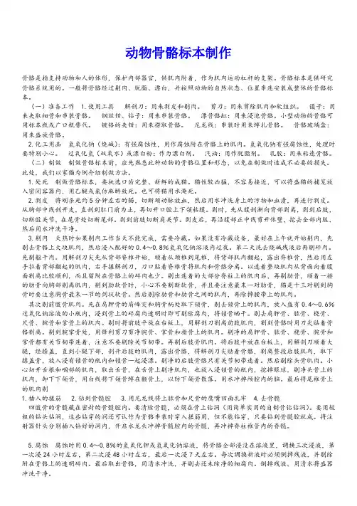 动物骨骼标本制作