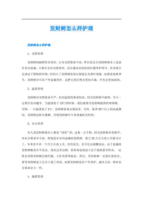 发财树怎么样护理