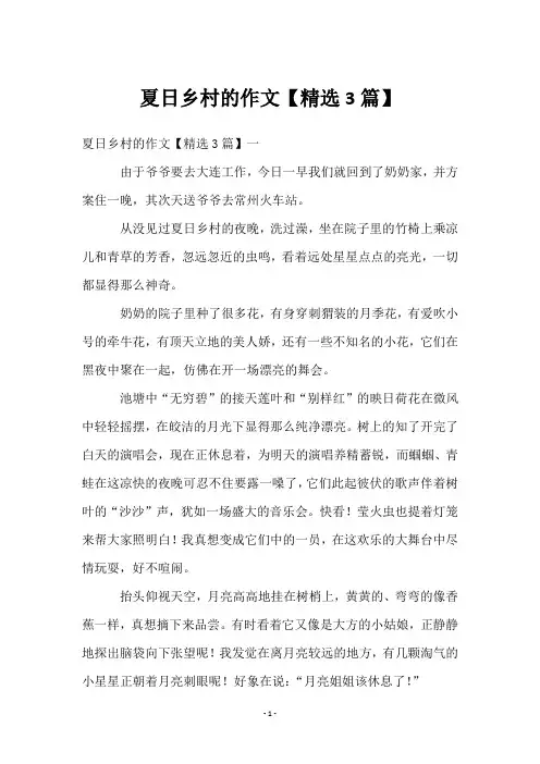 夏日乡村的作文【3篇】