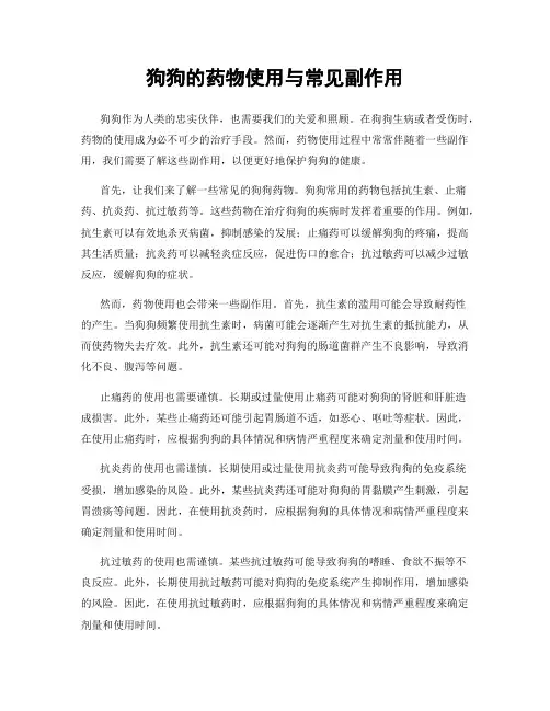 狗狗的药物使用与常见副作用