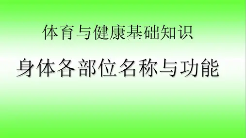 体育与健康人教三年级全一册身体各部位名称课件