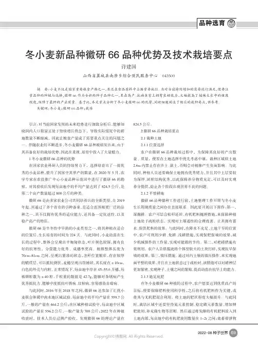 冬小麦新品种徽研66_品种优势及技术栽培要点
