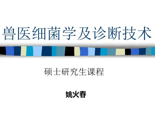 细菌结构