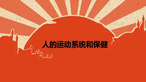 九年级下科学_人的运动系统和保健_上课课件ppt浙教版