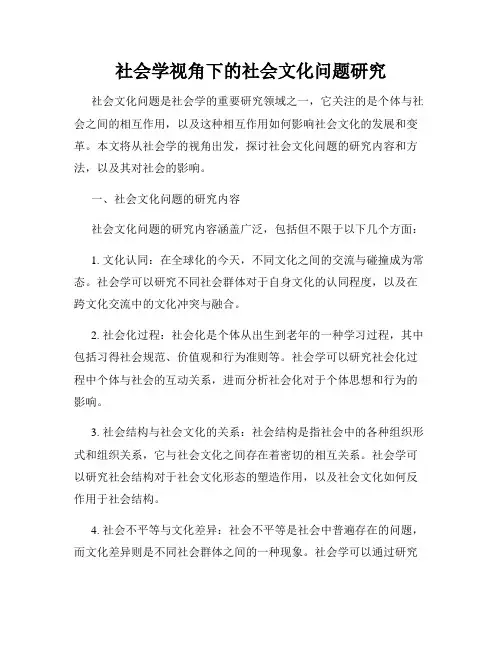 社会学视角下的社会文化问题研究