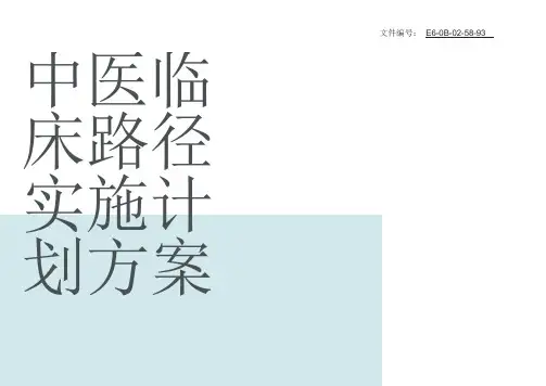 整理中医临床路径实施计划方案