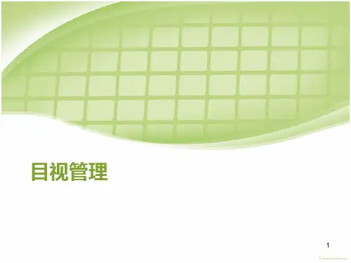 目视管理及其应用PPT课件