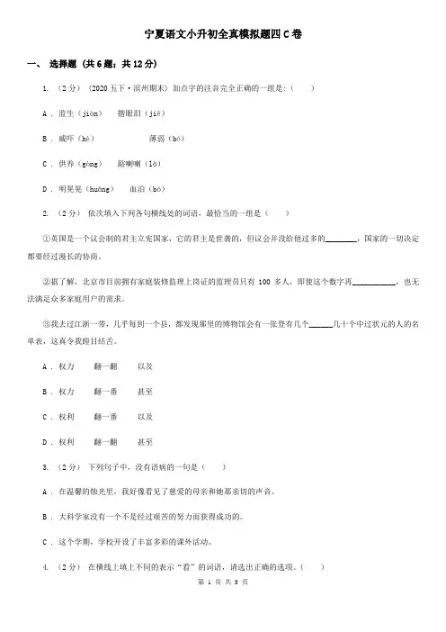 宁夏语文小升初全真模拟题四C卷