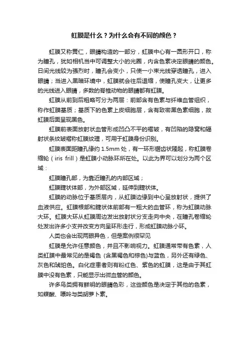 虹膜是什么？为什么会有不同的颜色？