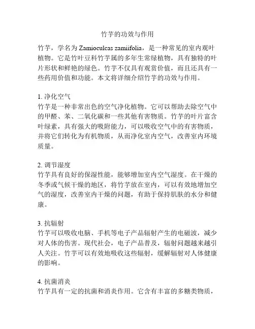 竹芋的功效与作用