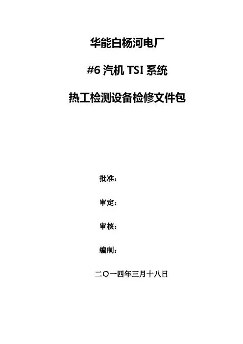 15大机TSI系统