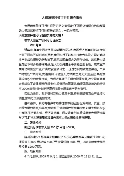 大棚蔬菜种植可行性研究报告