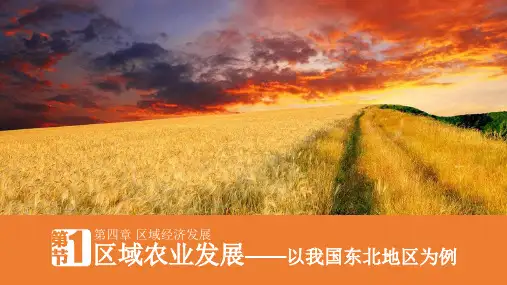人教版高中地理必修三第四章第一节《区域农业发展——以我国东北地区为例》课件(共18张PPT)