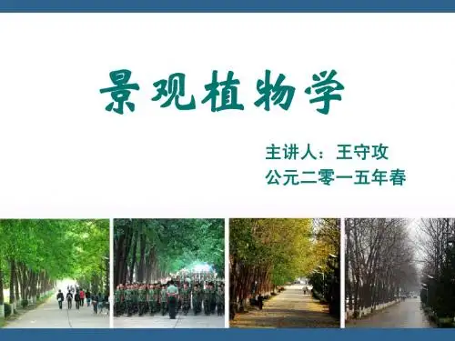 景观植物学Ⅱ裸子&单子叶植物
