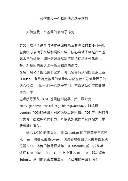 如何查找一个基因的启动子序列