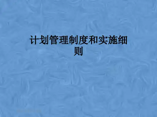 计划管理制度和实施细则
