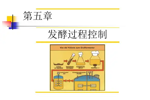 第五章-发酵过程控制(2024版)