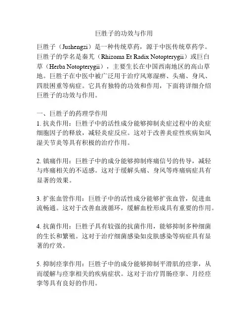 巨胜子的功效与作用